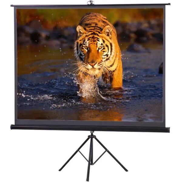 Projector Screen 120-inch G -Tripod Portable 6×8 Feet 4:3MW