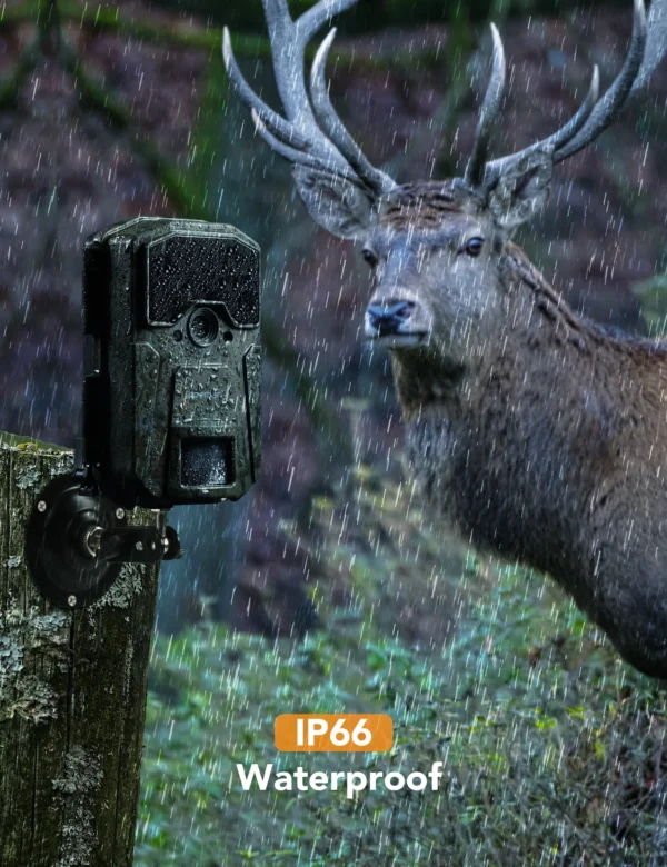 APEMAN H55 Infrared Trail Camera 20MP 1080P Wildlife Camera, Farm Monitoring, Night Detection Game Camera - Image 6